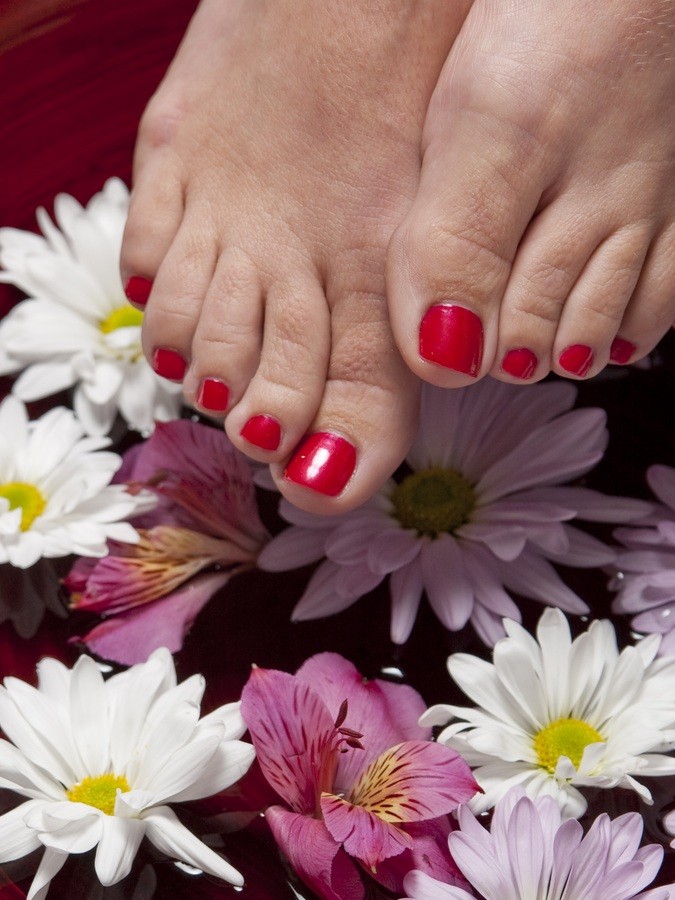 hand-plant-woman-flower-petal-feet-1166839-pxhere.com